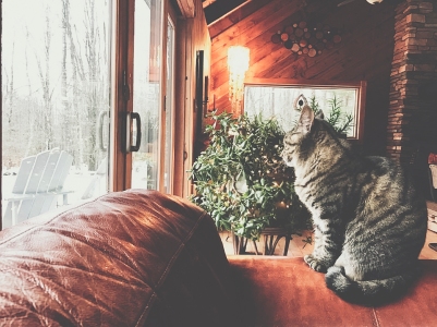 Hunter Mountain Airbnb, photo credit @travelinglamas I Catskills Travel Guide: A Wintry Weekend Escape From NYC